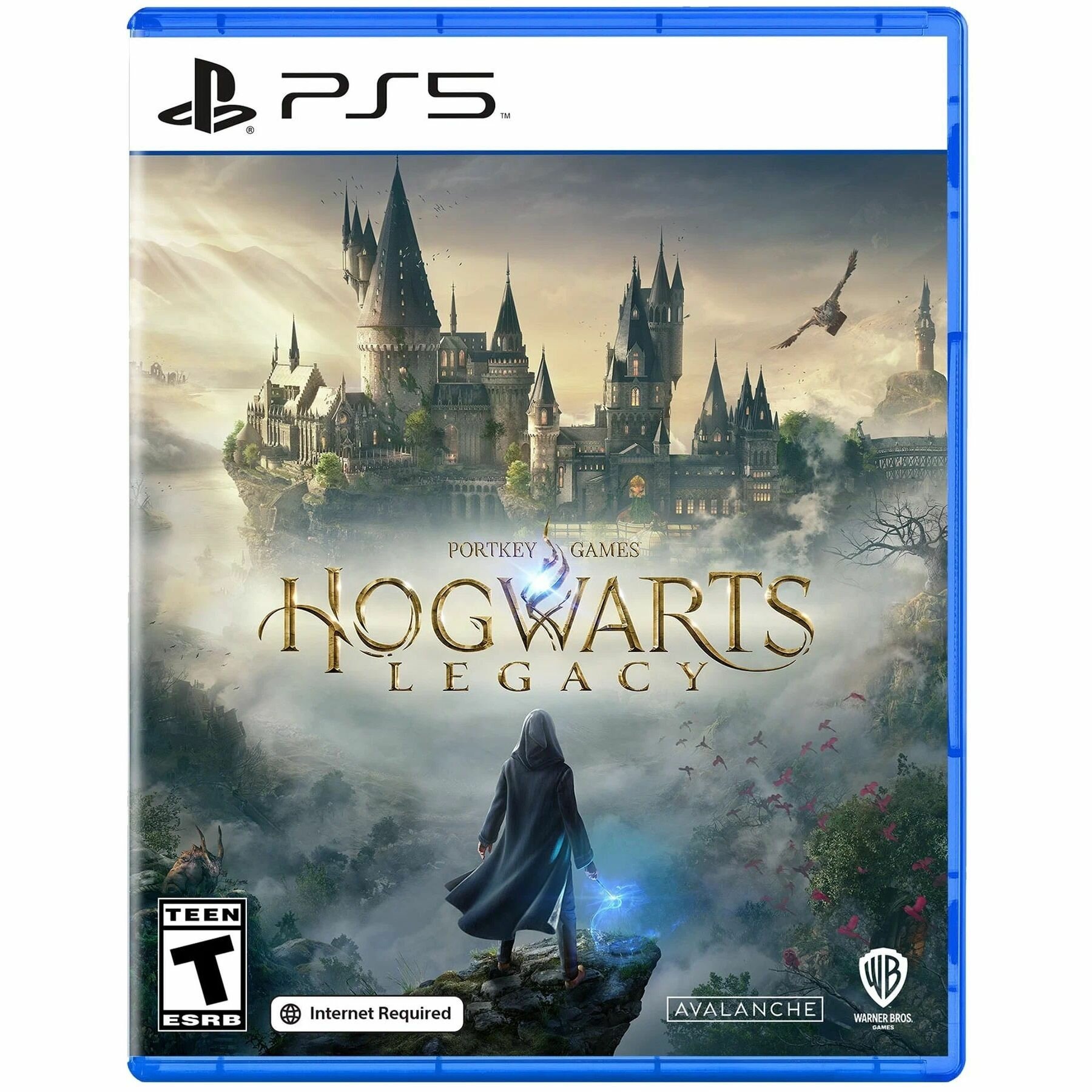 Игра Hogwarts Legacy Standard Edition для PlayStation 5 [русская версия]