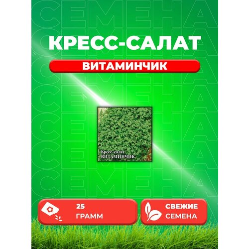 Кресс-салат Витаминчик, ранний 25,0 г семена кресс салат витаминчик ранний семена от автора 2 0 гр