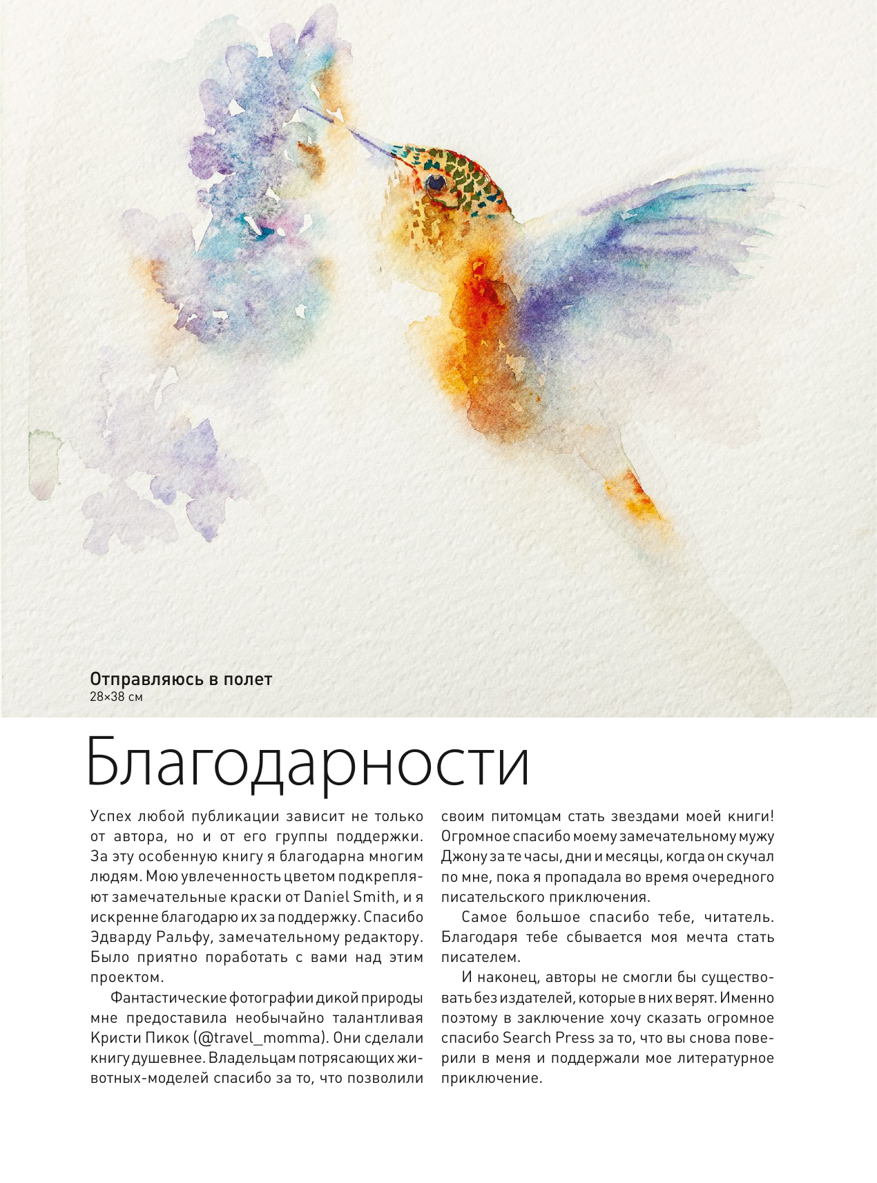 Животные акварелью от Джин Хэйнс. Медитативное рисование для контакта с собой и природой - фото №17