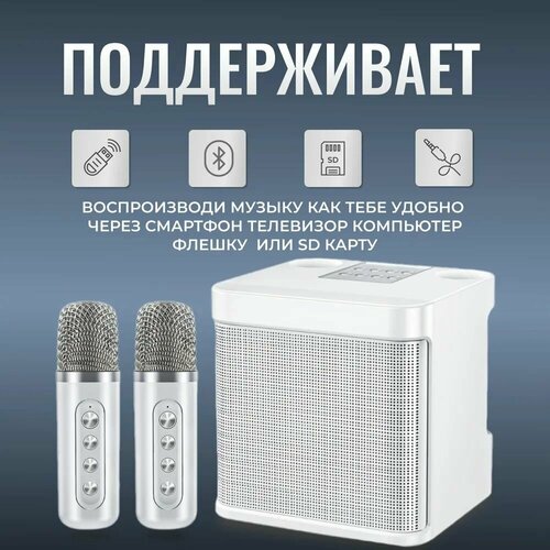 Караоке система с двумя беспроводными микрофонами, с функцией Bluetooth и USB разъемом