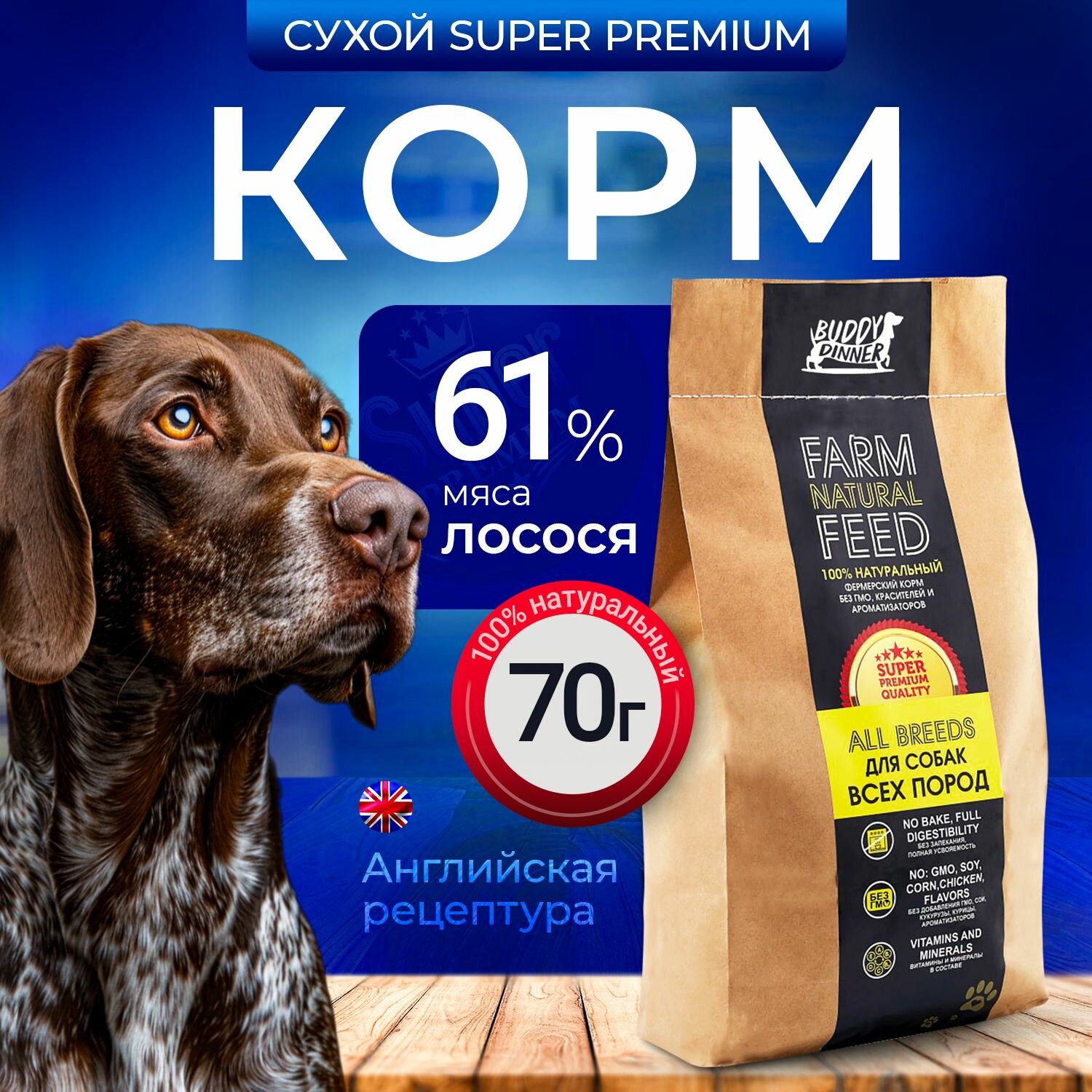 Сухой корм для собак средних и крупных пород Buddy Dinner Gold Line Hypoallergenic с лососем 70 гр