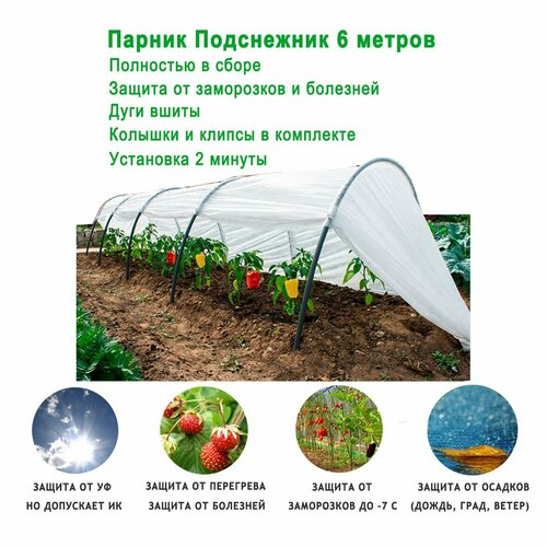 Парник теплица Подснежник Башагропласт, 6 метров / Парник для рассады