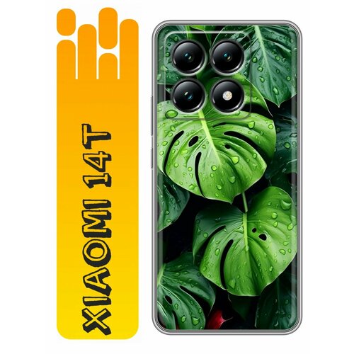 черный, зеленый