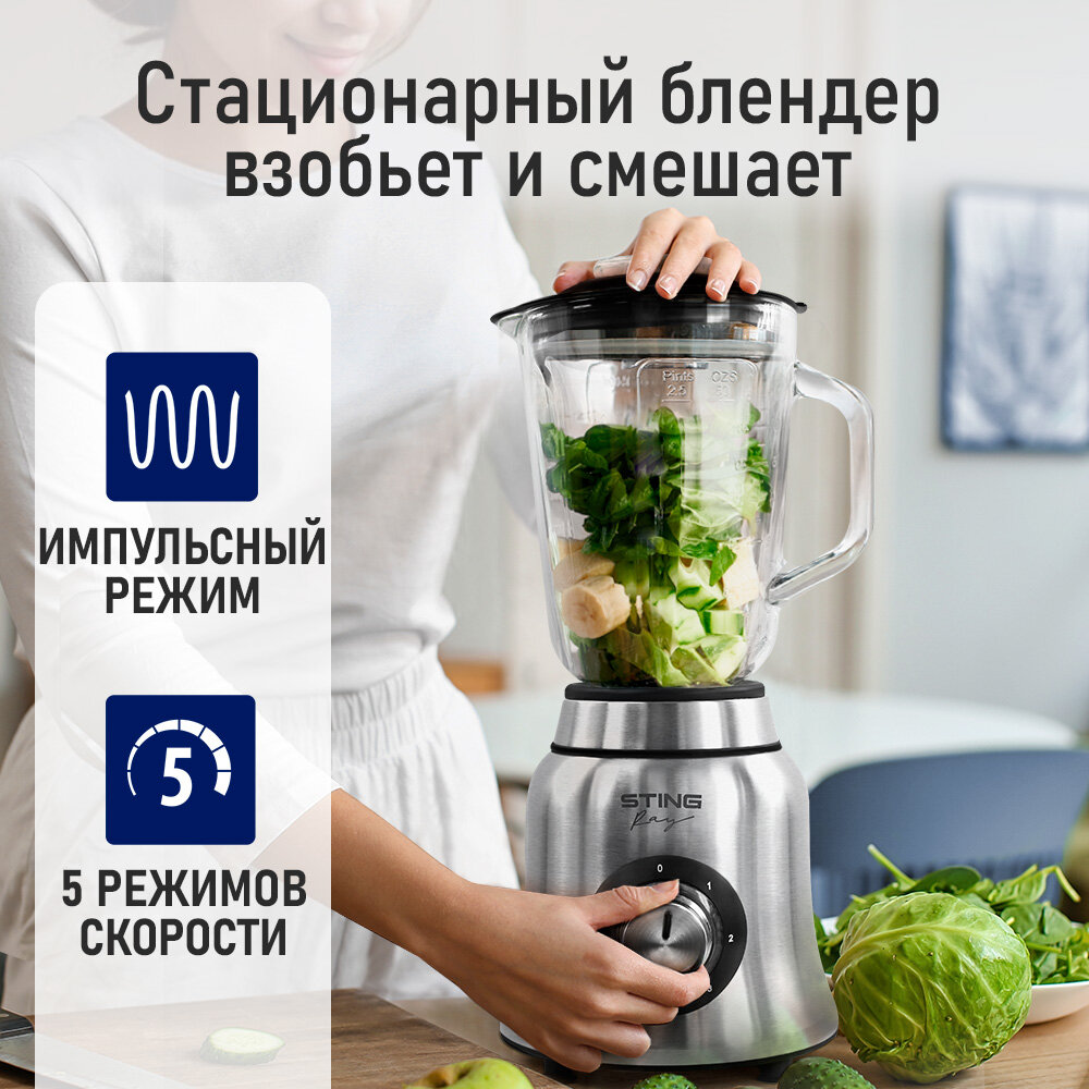 Блендер стационарный STINGRAY ST-KP2202A черный жемчуг/сталь — фото 1