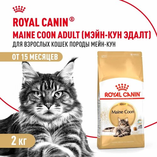 Royal Canin Maine Coon Adult для кошек породы мейн-кун Курица, 2 кг.
