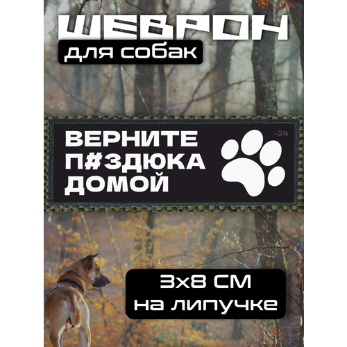 Шеврон на липучке для собак Верните пздюка домой 330₽