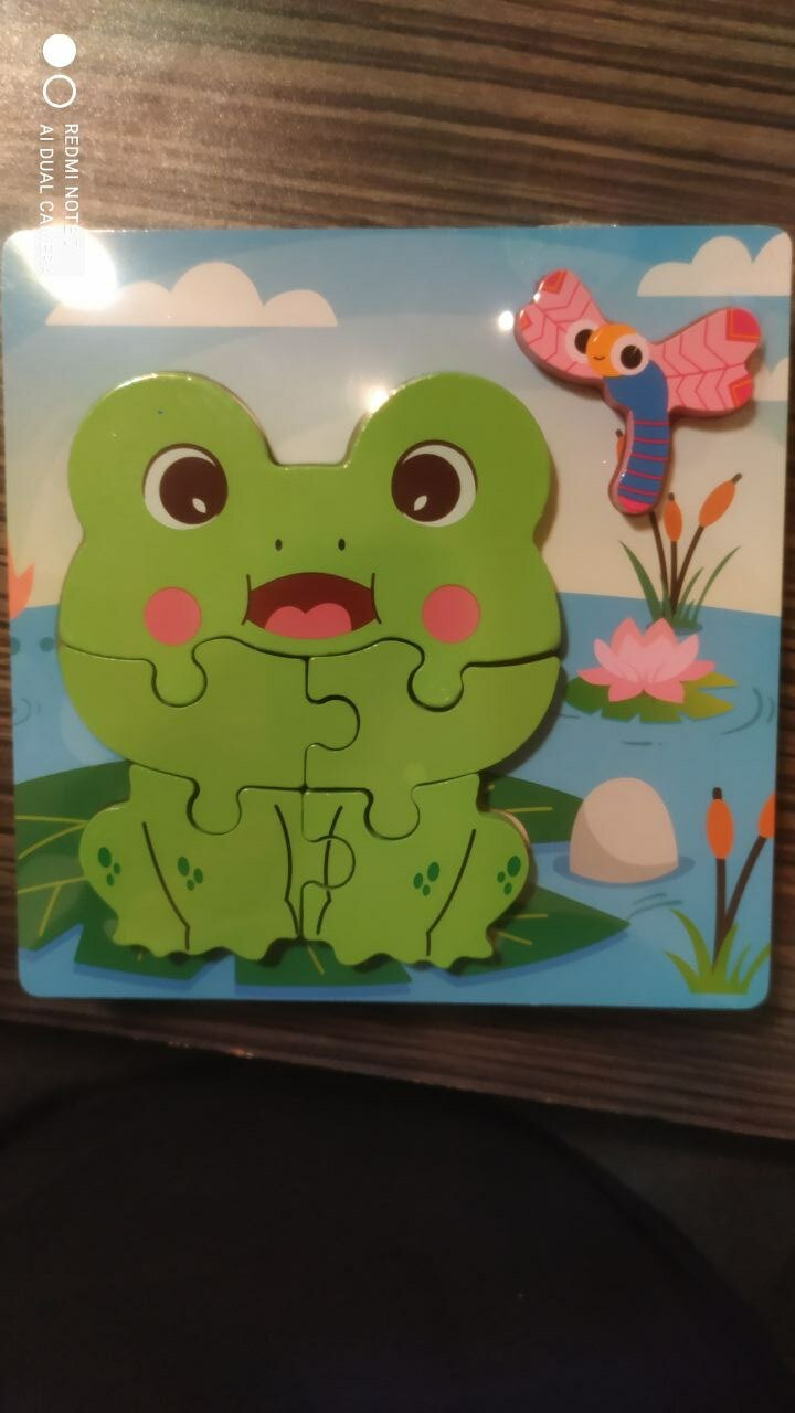 Пазлы / Деревянные головоломки для детей / Сортер / Головоломки