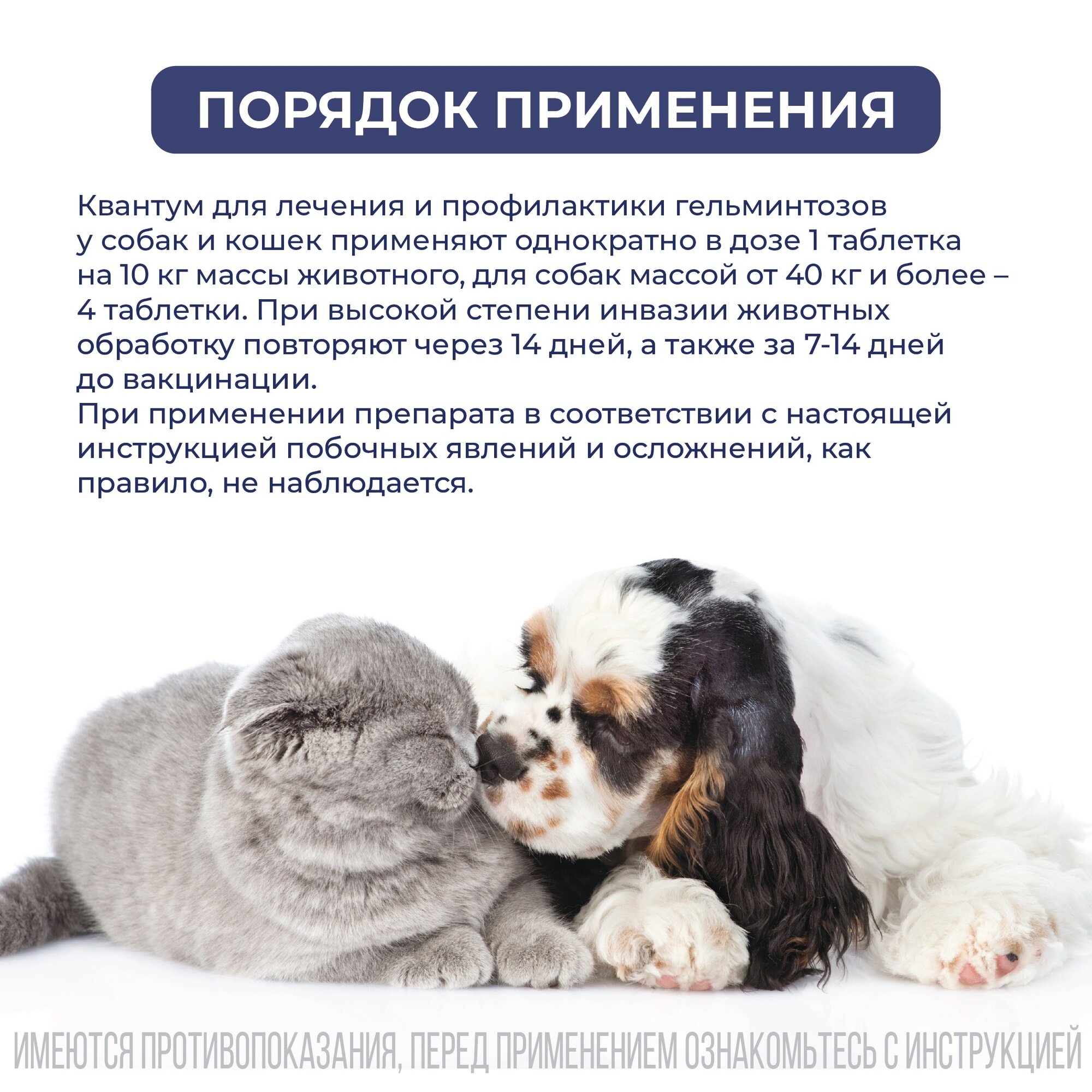 Doctor VIC Квантум таблетки для кошек и собак 4 шт. 50 г 141 мл 1 шт. — фото 1