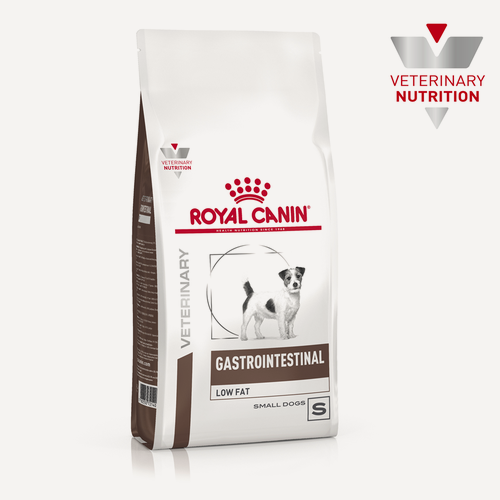Изображение товара Сухой корм для собак Royal Canin Gastrointestinal Low Fat, 1 уп. х 1 шт. х 1 кг (для мелких и карликовых пород)