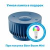 Умная колонка SberBoom Mini синий и Умная Лампа SLS LED01 - изображение