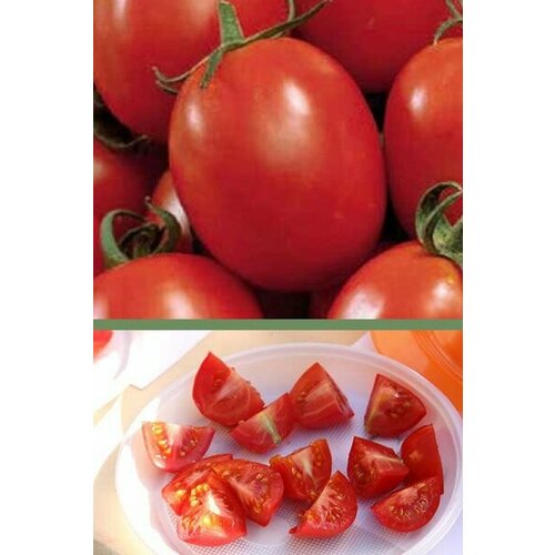 Коллекционные семена томата Ирма
