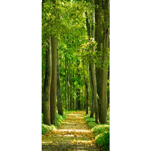 Самоклеящиеся фотообои 