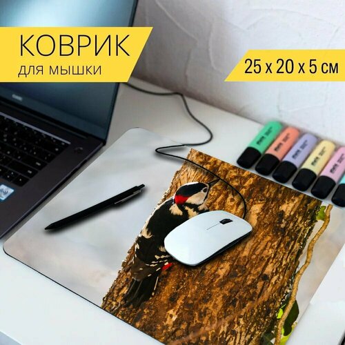 Коврик для мыши с принтом Дикая природа, птица, дятел 25x20см. коврик для мыши с принтом дикая природа птица большой пятнистый дятел 25x20см