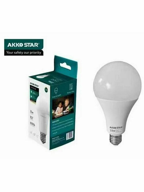 Светодиодная (LED) лампа AKKOSTAR A95-25W-E27 (6500K)