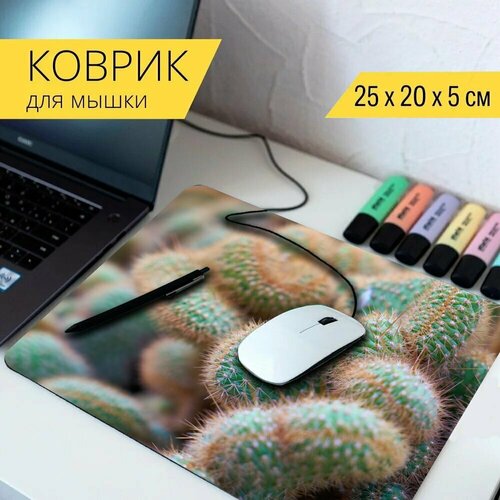 Коврик для мыши с принтом Кактус, шип, иголка 25x20см.