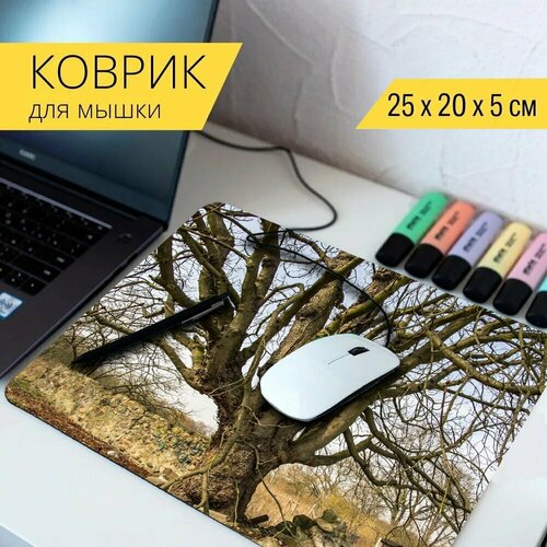 Коврик для мыши с принтом Природа, ствол дерева, корявый 25x20см. коврик для мыши с принтом лес плющ ствол дерева 25x20см