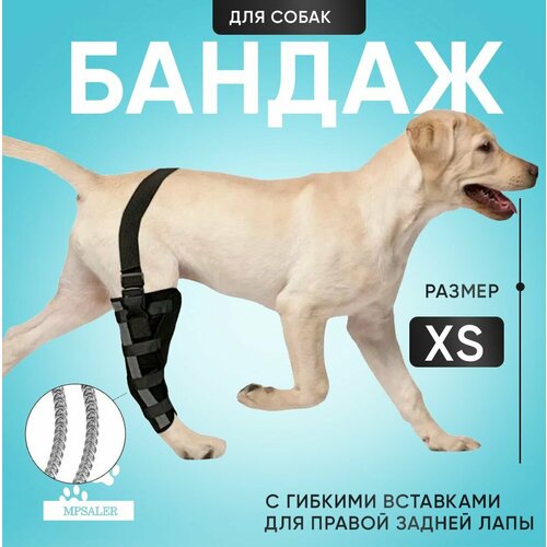 Бандаж для собак на правую заднюю лапу. На коленный сустав, с гибкими вставками, размер XS.