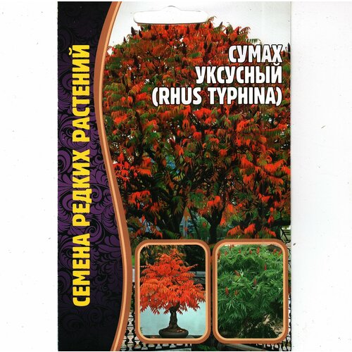 Сумах уксусный / RHUS TYPHINA , многолетнее дерево ( 1 уп: 20 семян ) семена орешка сумах оленерогий 35 шт