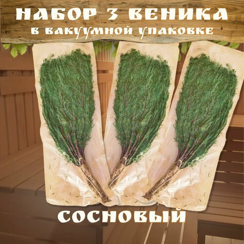 Веник для бани в вакуумной упаковке сосновый, 3 штуки