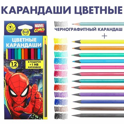 Карандаши цветные 12 цветов + чернографитный карандаш Супер-мен, Человек- паук карандаши цветные 12 цветов человек паук чернографитный карандаш человек паук 2 штуки