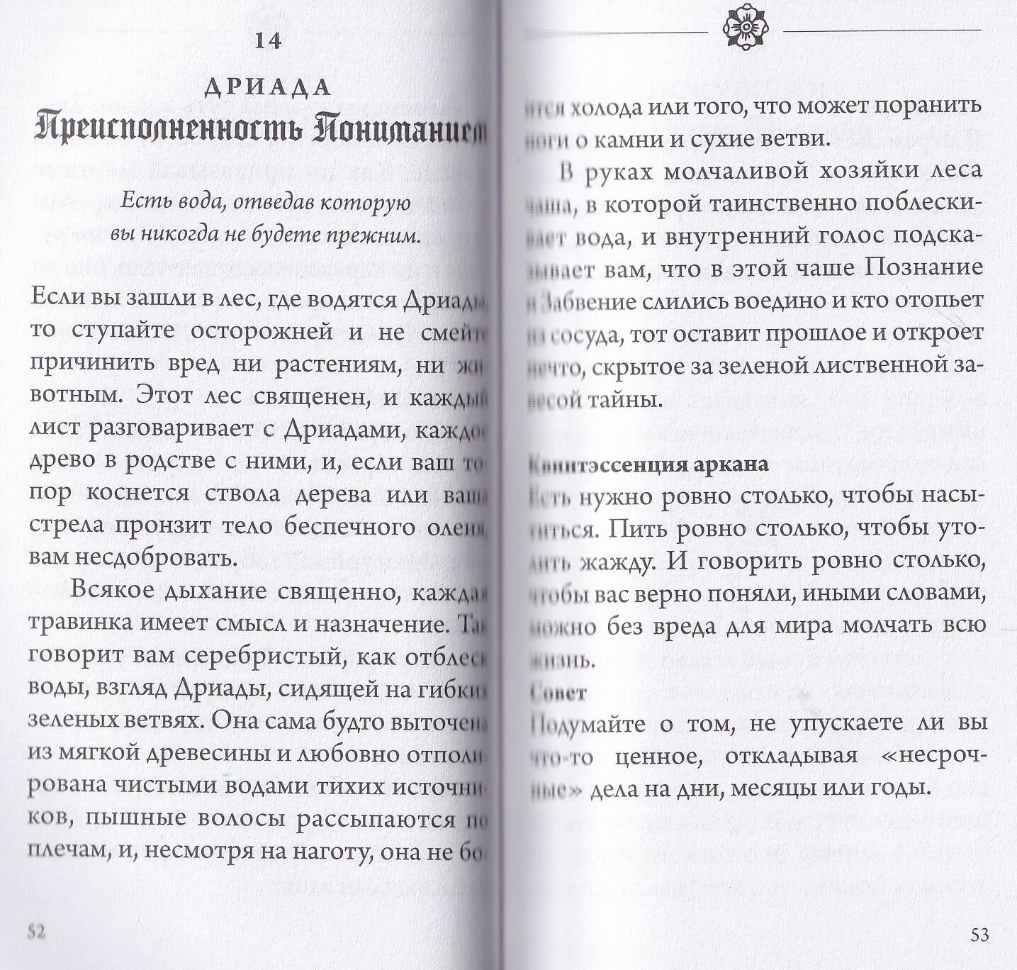 Легендариум. Ведьмачье Таро (78 карт и руководство в подарочном оформлении) - фото №18