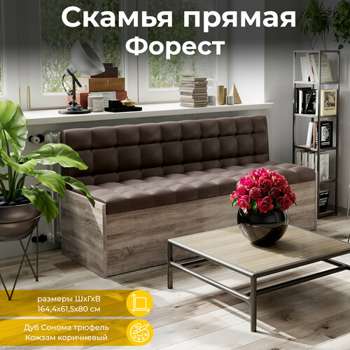 Кухонный диван ТриЯ Форест, диван: 164.4 x 61.5 см