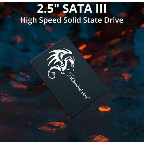1 ТБ Внутренний SSD-диск Somnambulist 25 SATA3 60 Гбитс До 550 Мбитс Встроенный твердотельный накопитель SSD-Black Beary 1T 799000₽