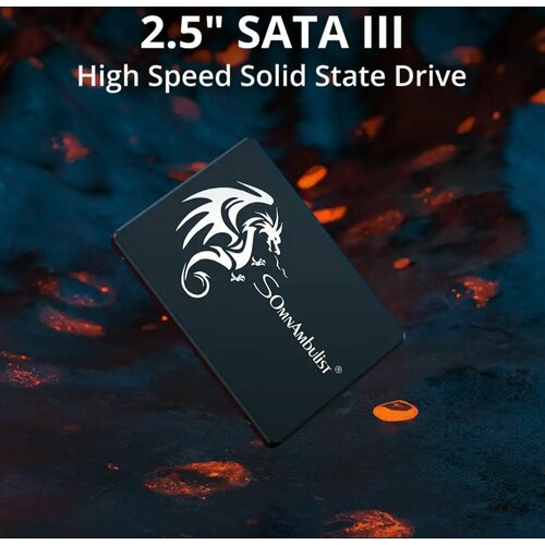 1 ТБ Внутренний SSD-диск Somnambulist 2.5