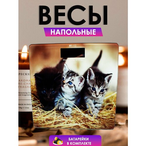 Весы напольные