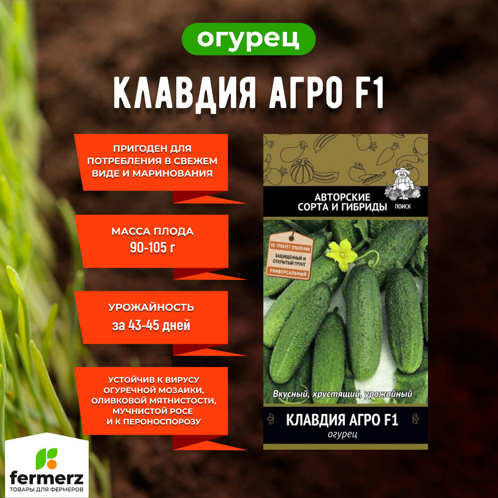 Огурец клавдия f1: описание, посадка и уход, характеристика сорта, отзывы садово