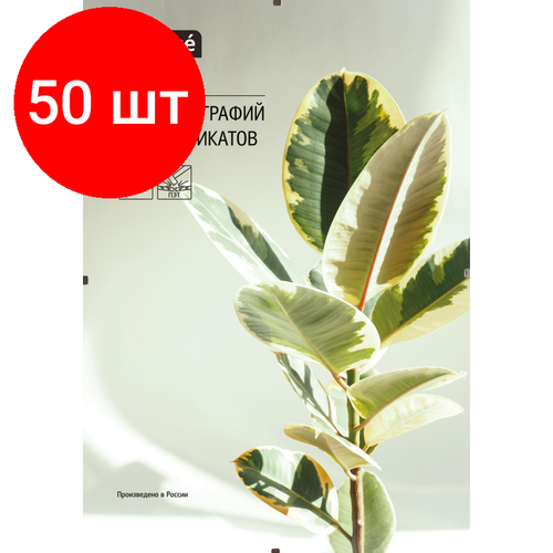 Комплект 50 штук, Рамка Attache клип 21х30 комплект 12 штук рамка attache клип 21х30