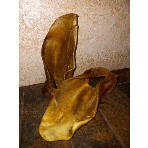 Ушки говяжьи, сушеные (Хрящ - ушная раковина, цельная), 90 гр.