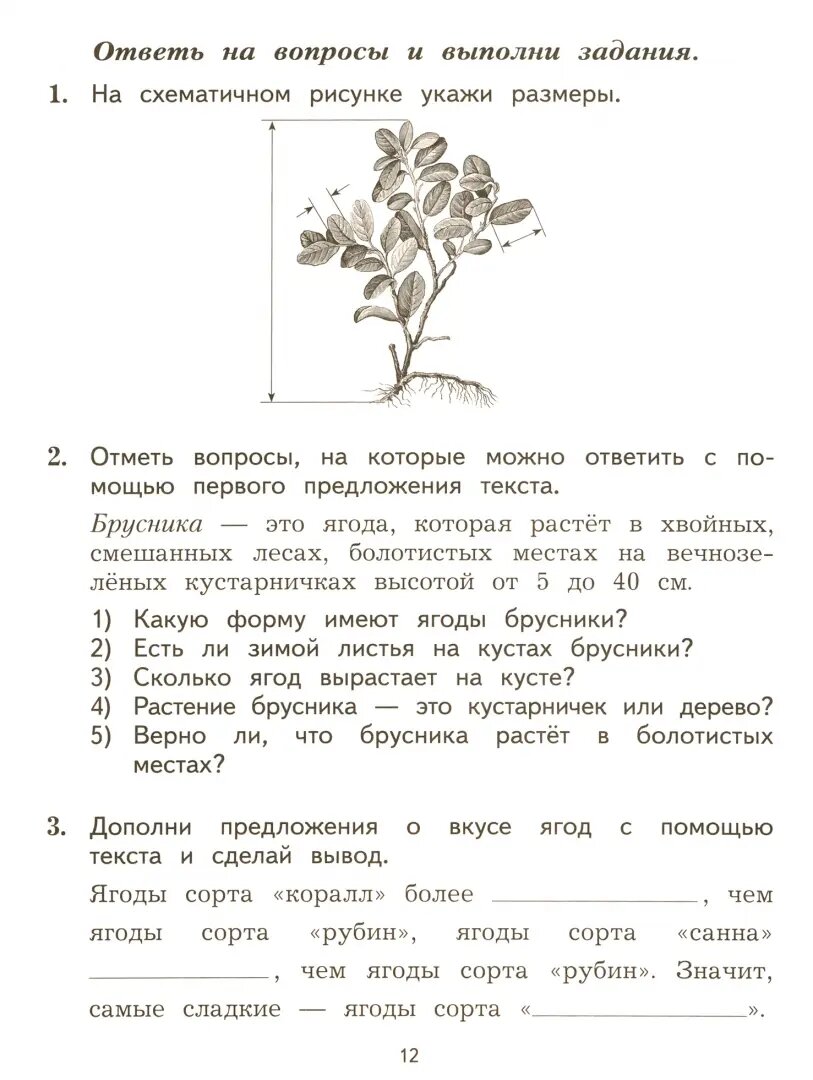 Работа с текстом и информацией 2 класс. Комплексные проверочные работы - фото №4