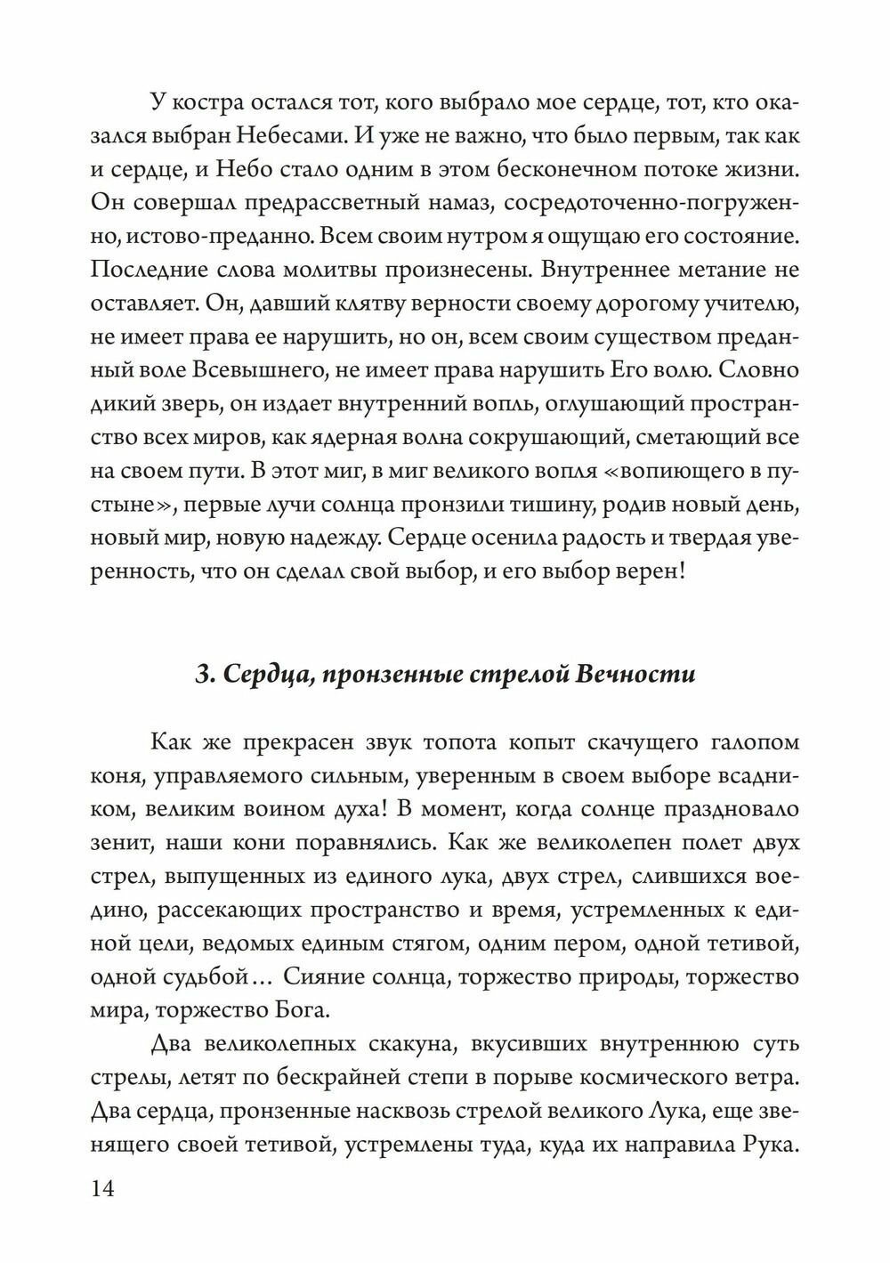 Стрела Али (Седанкина Татьяна Евгеньевна) - фото №11