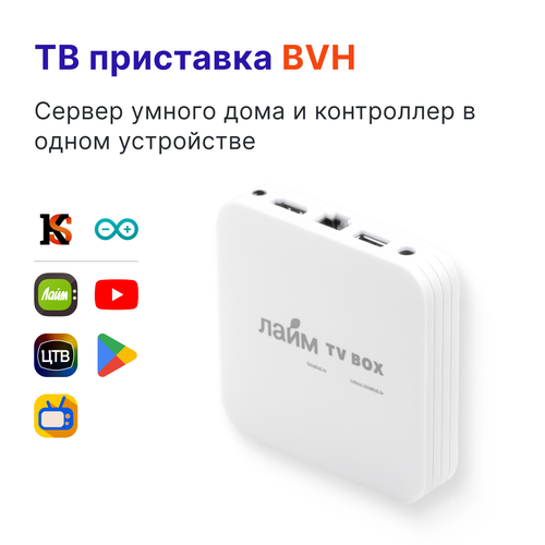 ТВ приставка от LimeHD TV box модели BVH 18 T95mini с прошивкой от SigmaSys 400000₽