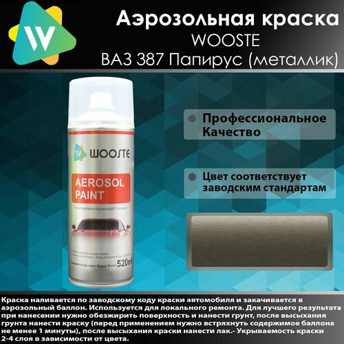 Автомобильная аэрозольная краска WOOSTE 387 Папирус