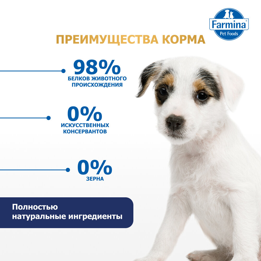 Farmina N&D Dog GF Pumpkin Lamb&Blueberry Puppy Mini корм для щенков мелких пород Ягненок, тыква и черника, 800 г.