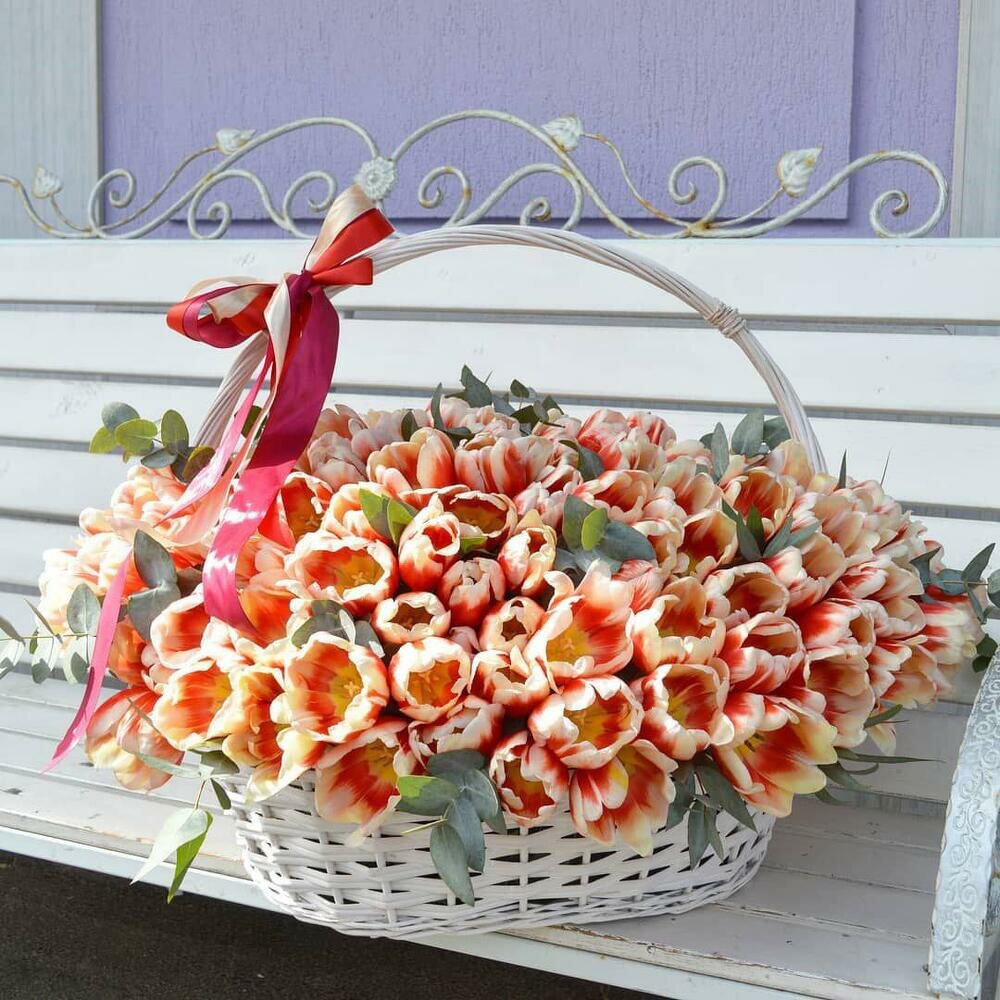 Премиум букет тюльпанов от "Flowerella Premium" в корзине с ленточками (бело-красные) 101 штука