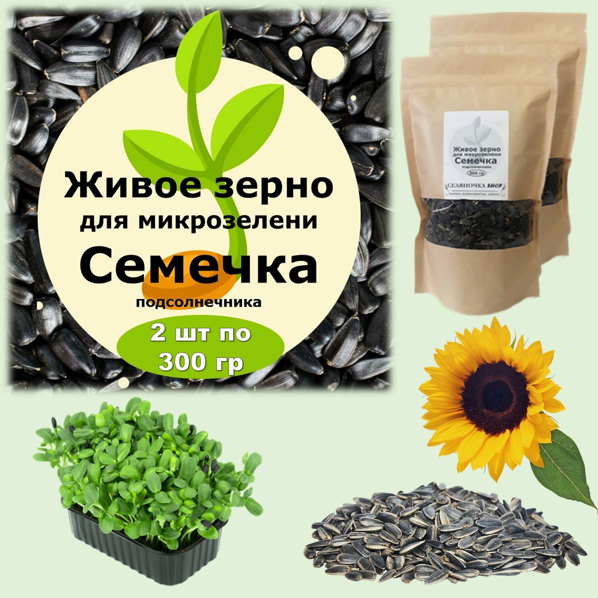 Семечка подсолнечника семена для микрозелени 