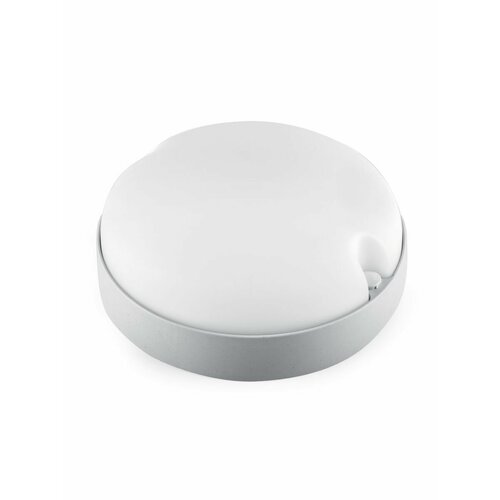 Светодиодный светильник 1016038 LED х 12
