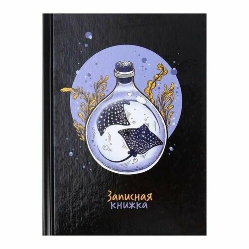 Записная книжка А6 64л. Скаты