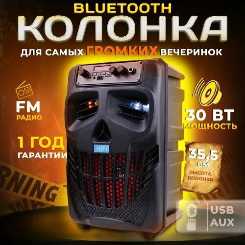 Портативная беспроводная колонка NB-1 c караоке микрофоном Bluetooth, USB, AUX, Микрофон, SD, Пульт ДУ