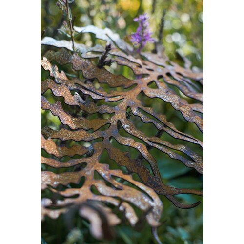 Папоротник v1