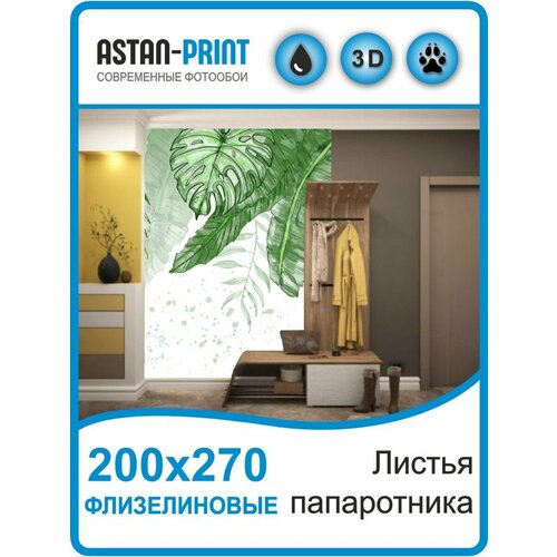 Фотообои флизелиновые Листья папоротника 200х270