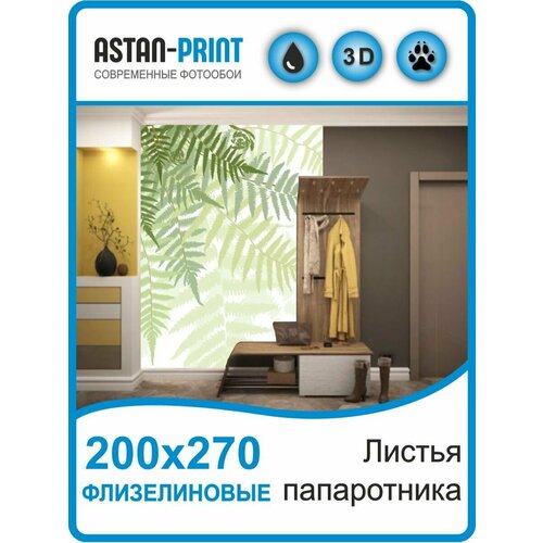 Фотообои флизелиновые Листья папоротника 200х270