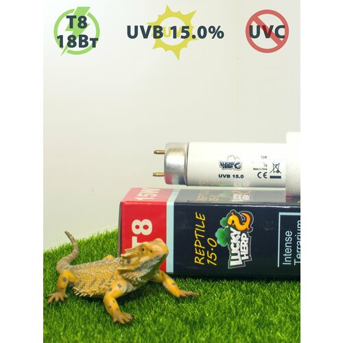 Ультрафиолетовая лампа UVB 15.0% - 18W (60см) для рептилий LuckyHerp. Цоколь Т8 ультрафиолетовая лампа uvb 6 0% 15w для рептилий luckyherp цоколь е27