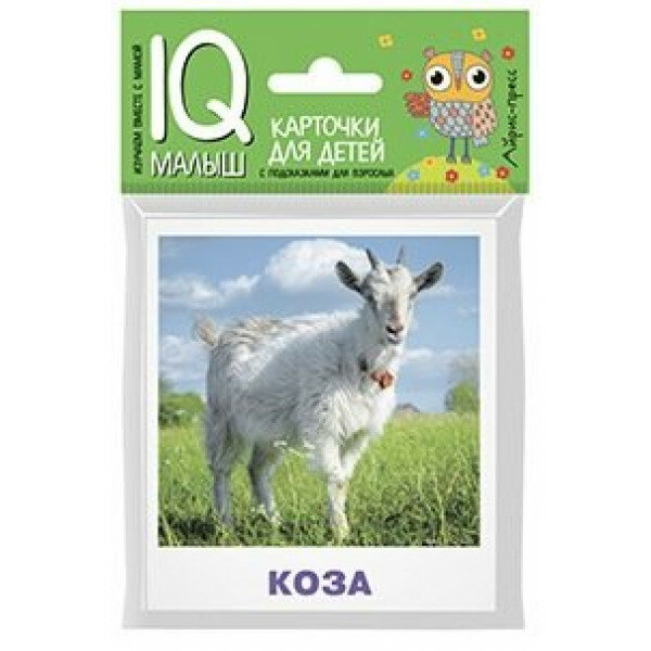 Домашние животные. Карточки для детей с подсказками для взрослых - фото №6