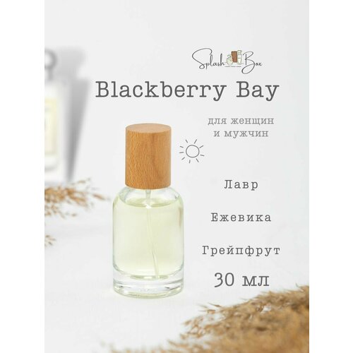 Blackberry Bay духи стойкие духи масляные по мотивам blackberry bay еживика и лавр парфюм женские