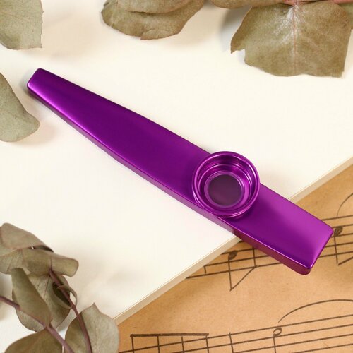 Музыкальный инструмент Казу, фиолетовый