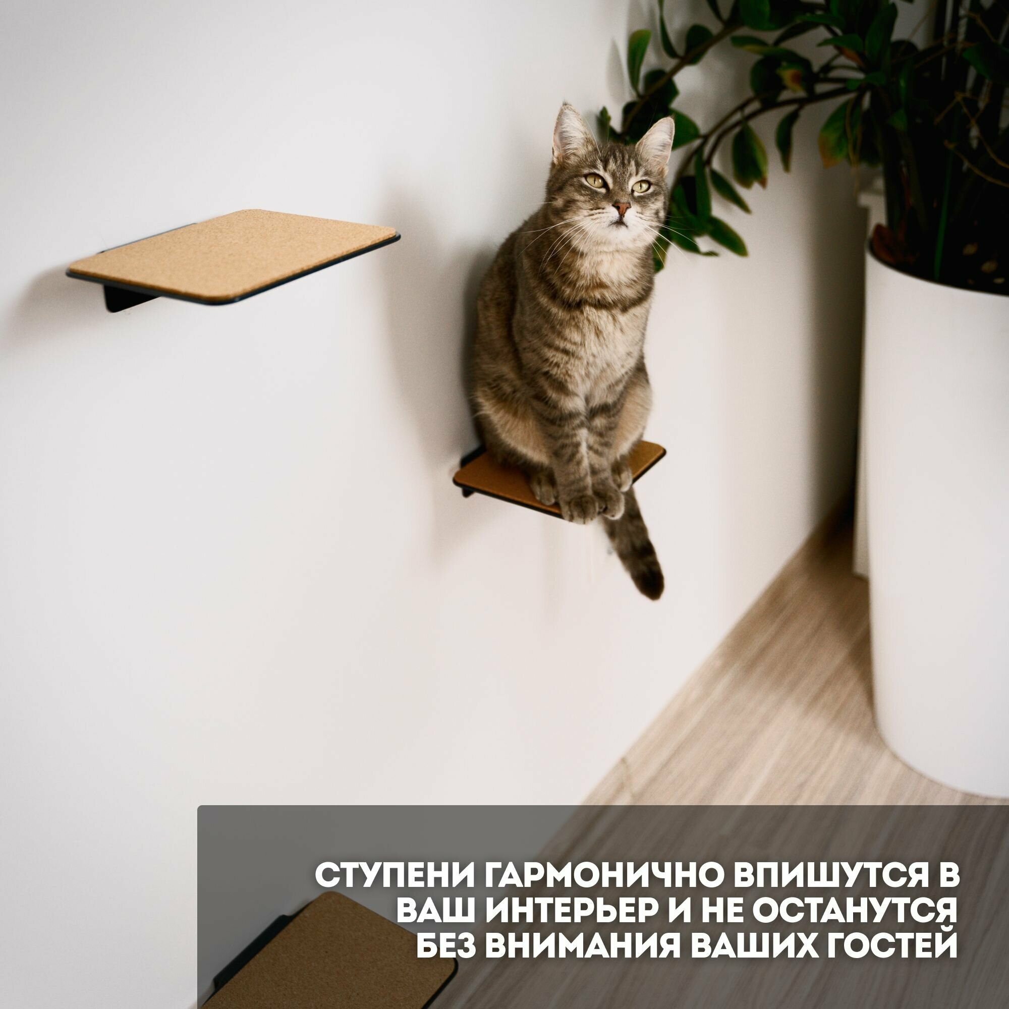 Ступени Go для кошек (антрацит), котов, котят, для игровых комплексов - фотография № 3